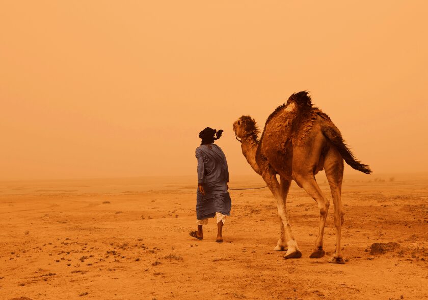 camel ride in the sahara desert of morocco