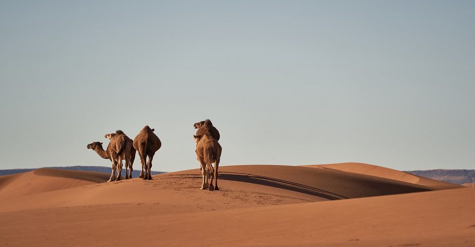 2 Days trip from fes to merzouga