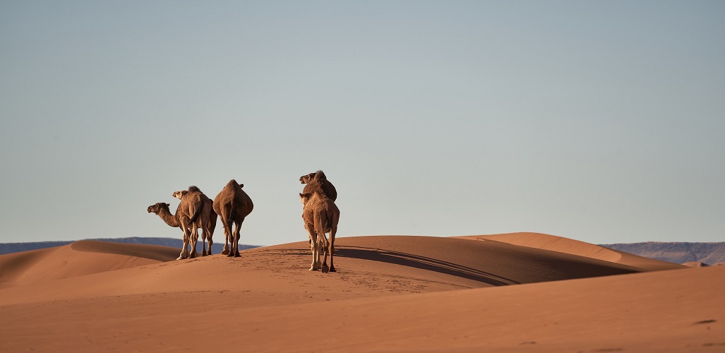 2 Days trip from fes to merzouga