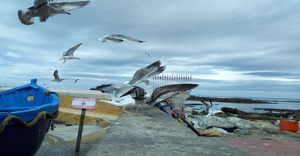 Essaouira