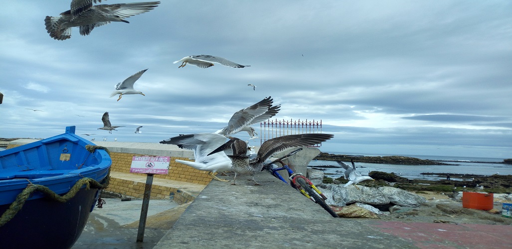 Essaouira