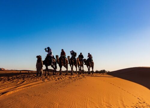 Camel ride