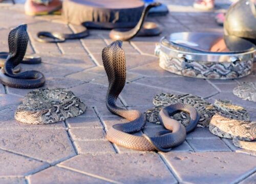 3 Days tour from Marrakech to Merzouga