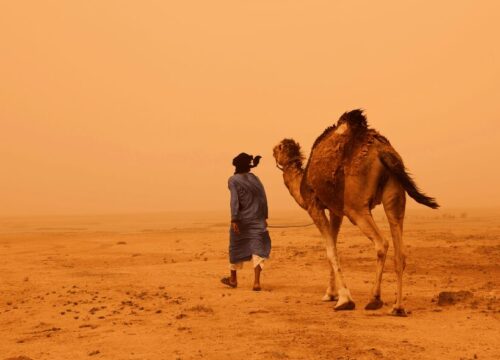 5 Days sahara tour from Fes