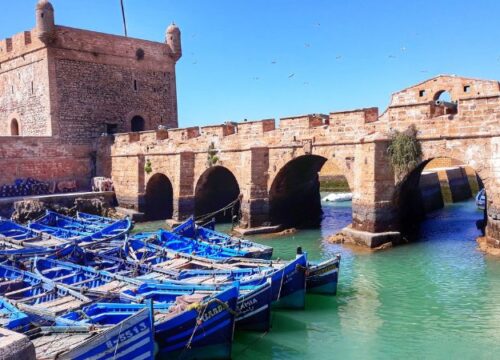 Day trip to Essaouira from marrakech